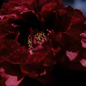 趴男朋友腿被脱裙打屁股视频
